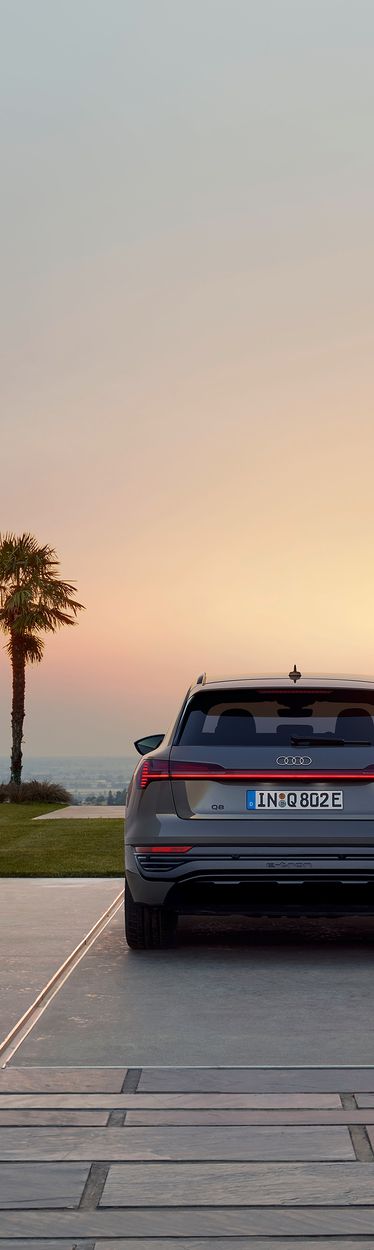 Rear view Audi Q8 e-tron